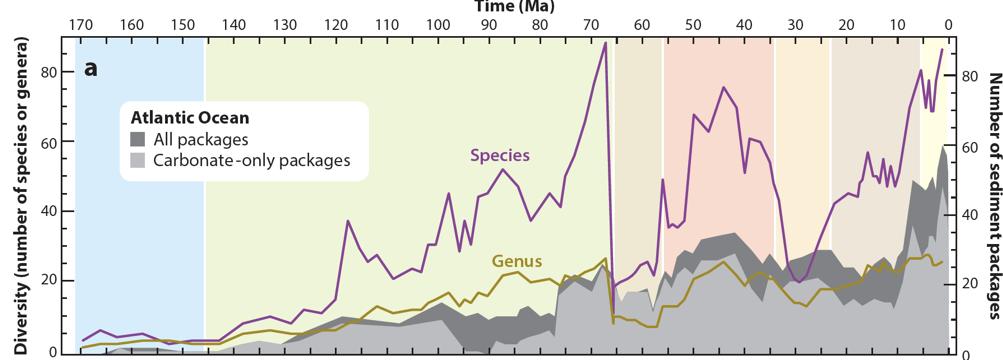 Af Fig Time Scavengers