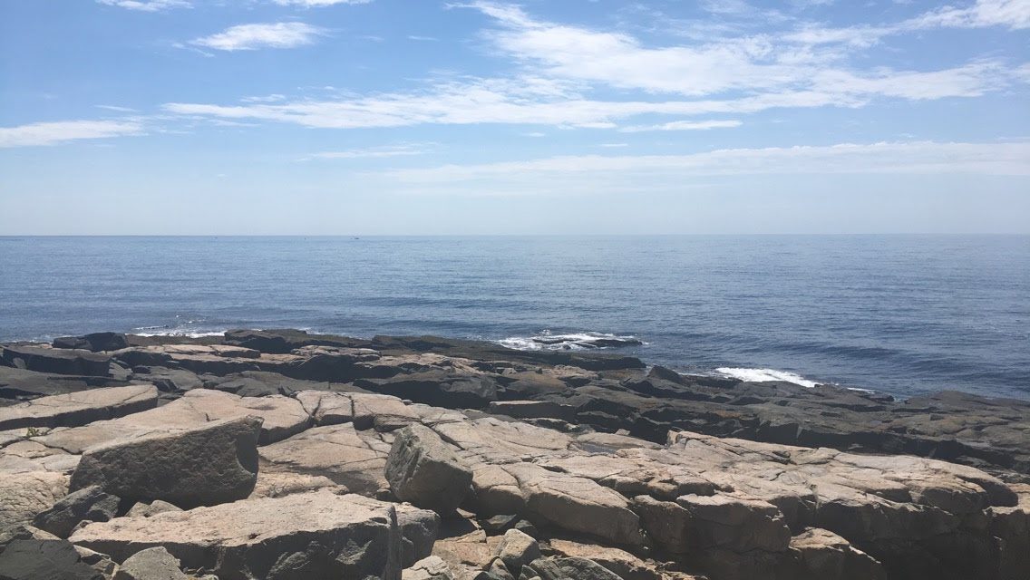 Image5 Time Scavengers