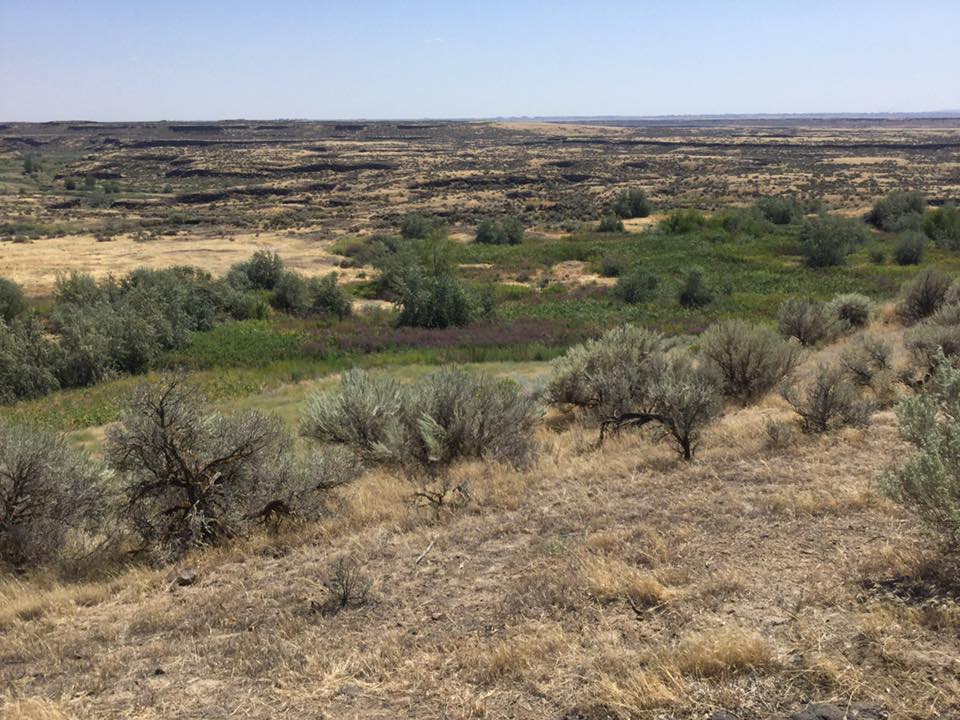 Overview Time Scavengers