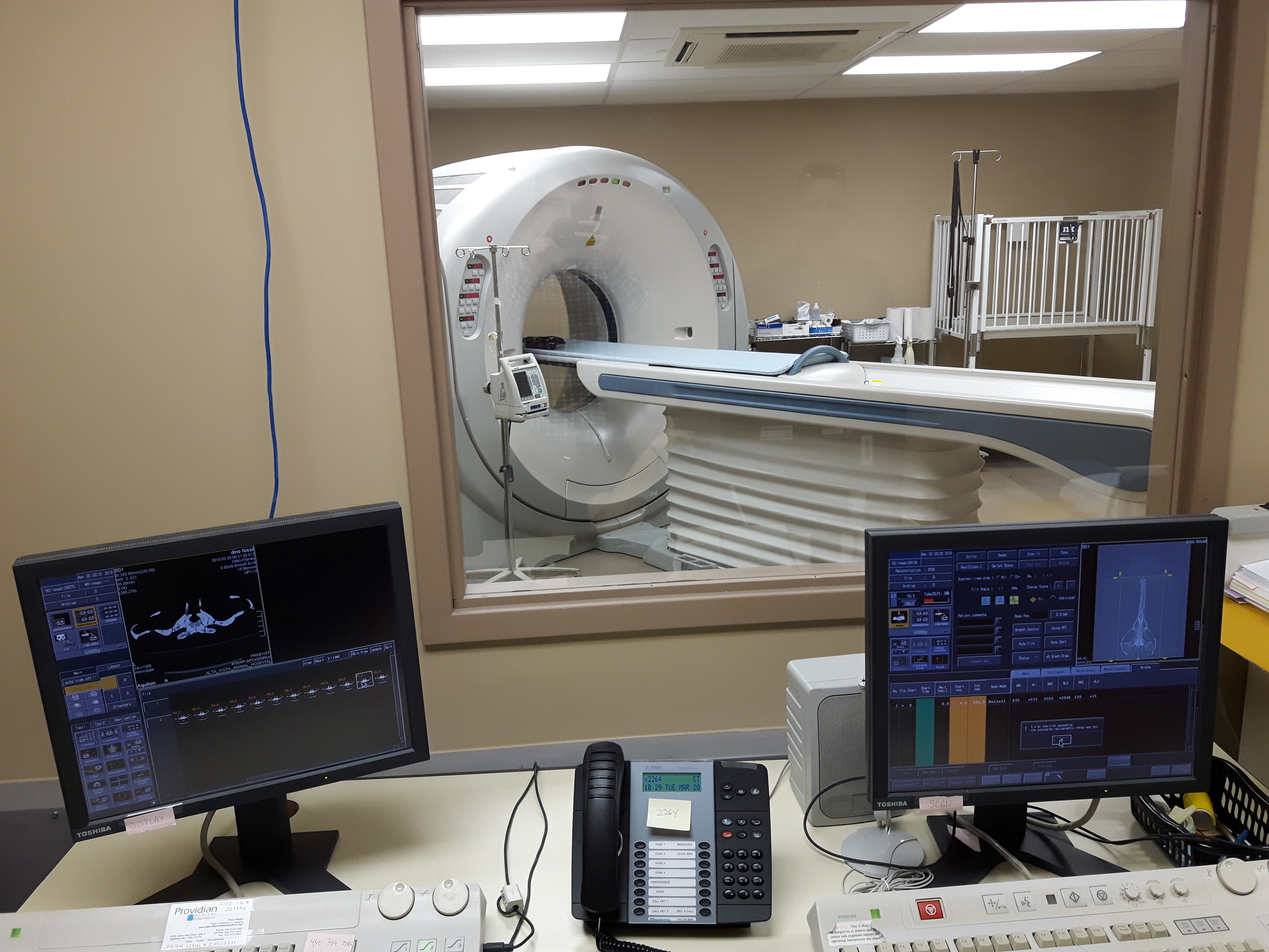 Champsosaurus CT scanning computer – Time Scavengers