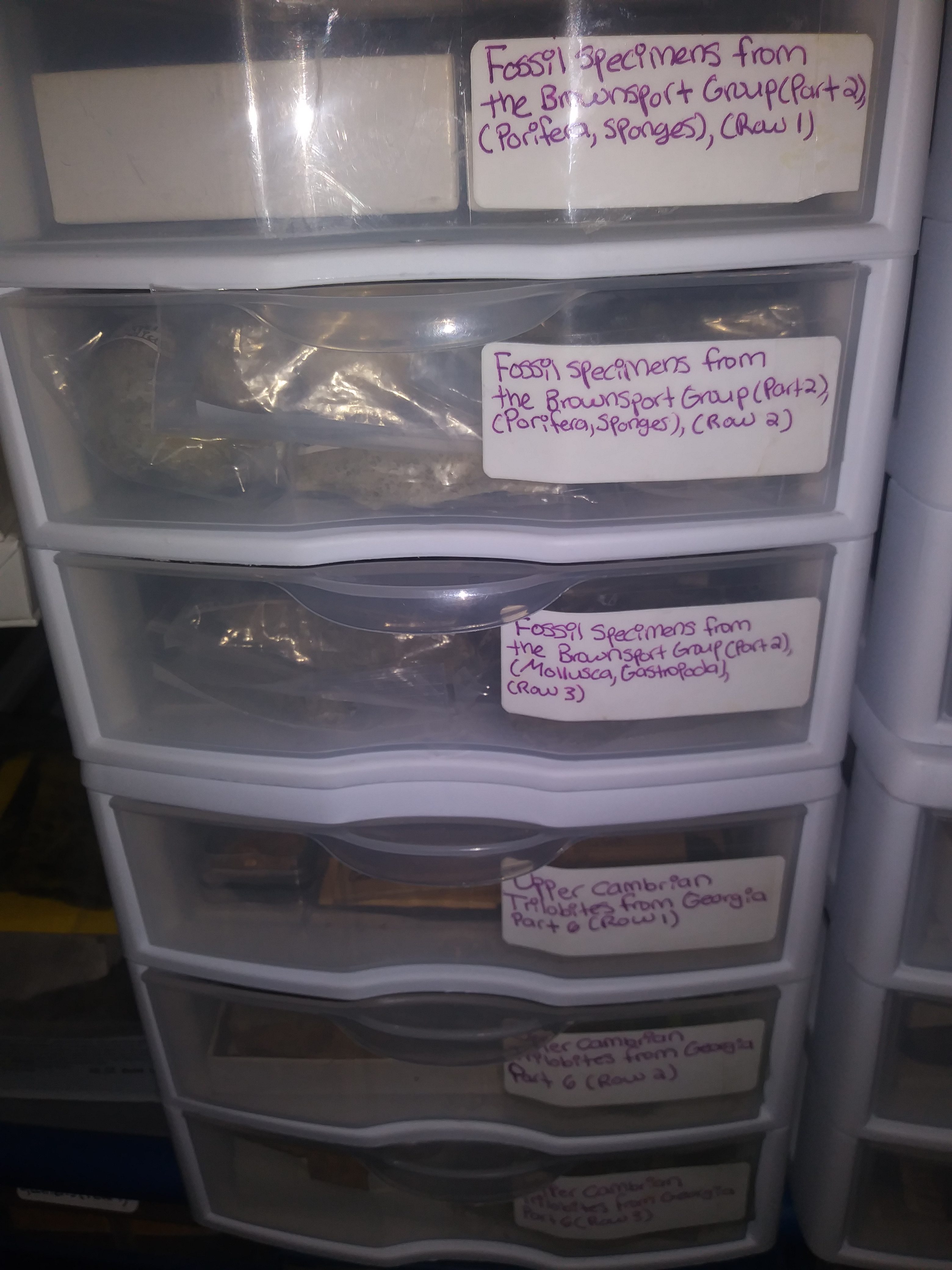 Collection3 Time Scavengers