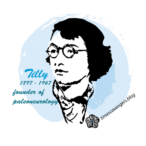 Time Scavengers Scavenging The Fossil Record For Clues To Earth S